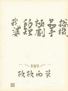 我的极品总裁老婆短剧手机在线观看