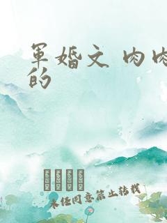 军婚文 肉肉多的