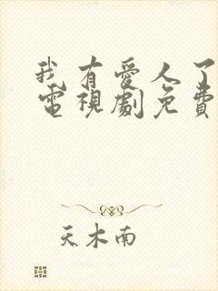 我有爱人了韩剧电视剧免费观看全集中文版