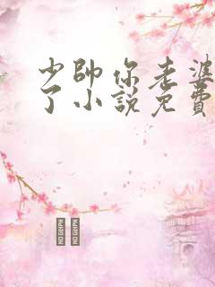 少帅你老婆又跑了小说免费阅读