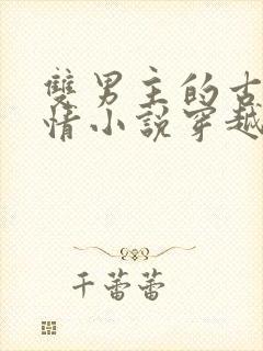 双男主的古代言情小说穿越