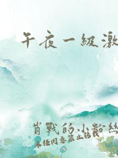 午夜一级激情片