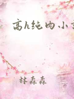 高h纯肉小说文