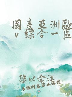 国产亚洲欧洲aⅴ综合一区