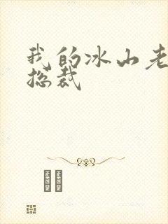 我的冰山老婆是总裁