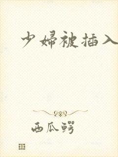 少妇被插入高潮