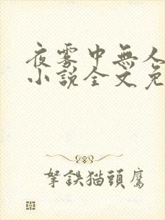 夜雾中无人爱我小说全文免费阅读