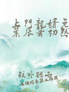 上门龙婿免全文叶辰萧初然