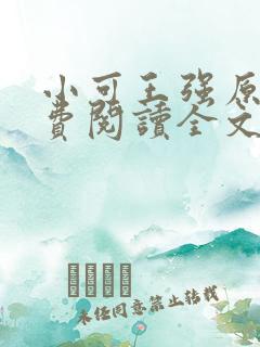 小可王强原文免费阅读全文最新章节