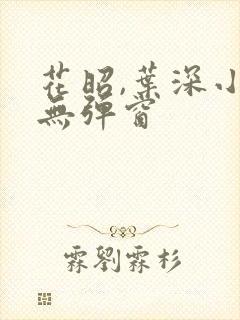 花昭,叶深小说无弹窗