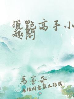 猎艳高手小说笔趣阁