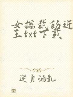 女总裁的近身兵王txt下载