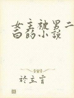 女主被男二夺清白的小说