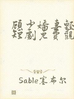 顾少娇妻轻点虐短剧免费观看大结局