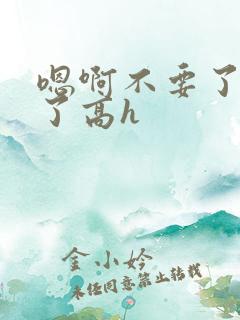 嗯啊不要了太大了高h