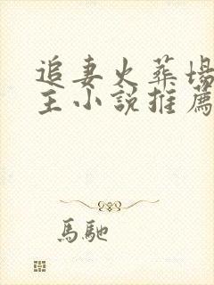 追妻火葬场双男主小说推荐