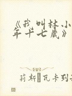 《我叫林小喜今年十七岁》