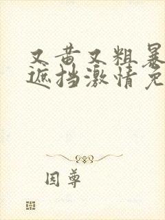 又黄又粗暴的无遮挡激情免费观看