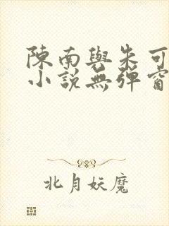 陈南与朱可人的小说无弹窗