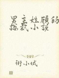 男主姓顾的现代总裁小说