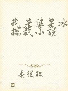 我老婆是冰山女总裁小说