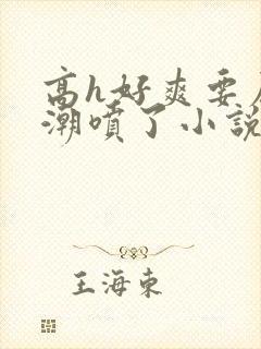 高h好爽要尿了潮喷了小说