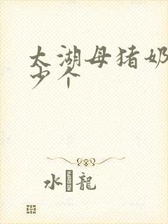 太湖母猪奶头多少个