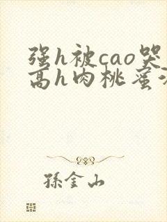 强h被cao哭高h肉桃蜜汁