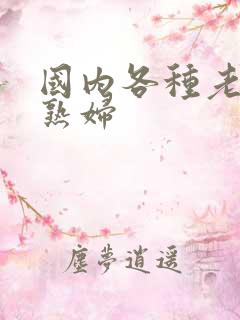 国内各种老熟女熟妇