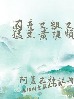 国产又粗又爽又猛又黄视频