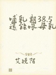 哺乳期38.5还能喂母乳吗