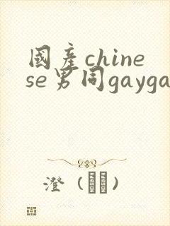国产chinese男同gaygay网站