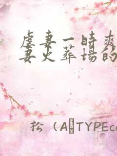 虐妻一时爽,追妻火葬场的小说