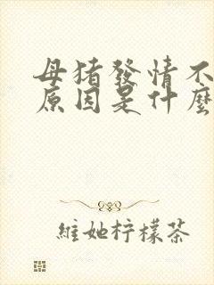 母猪发情不好的原因是什么