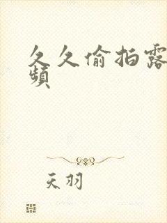 久久偷拍露脸视频