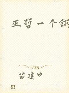 巫哲一个钢镚儿