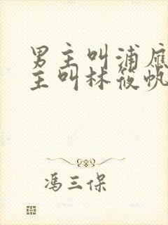 男主叫浦应辛女主叫林筱帆的小说