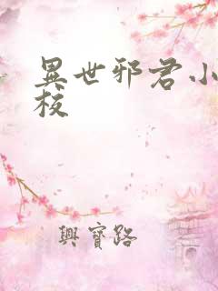 异世邪君小说精校