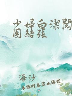 少妇白洁阅读大团结张