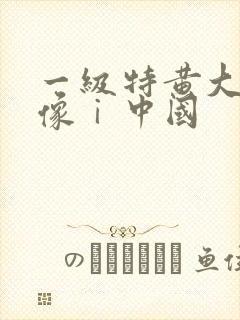 一级特黄大片录像ⅰ中国