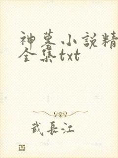 神墓小说精校版全集txt