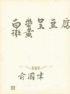 白带呈豆腐渣状微黄