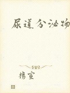 尿道分泌物流出