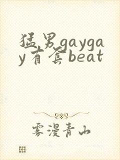 猛男gaygay有套beat