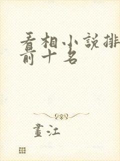 看相小说排行榜前十名