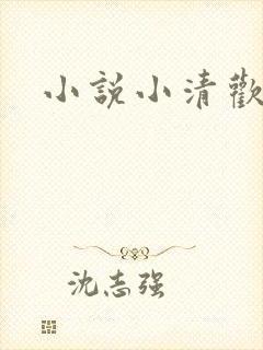 小说小清欢番外