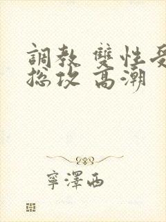 调教 双性受 总攻 高潮