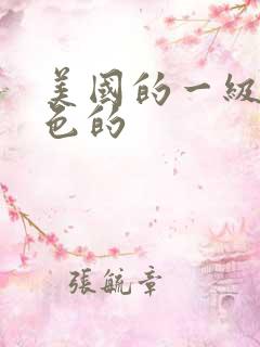 美国的一级片黄色的