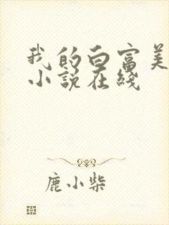 我的白富美老婆小说在线