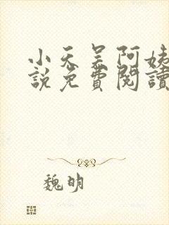 小天吴阿姨的小说免费阅读